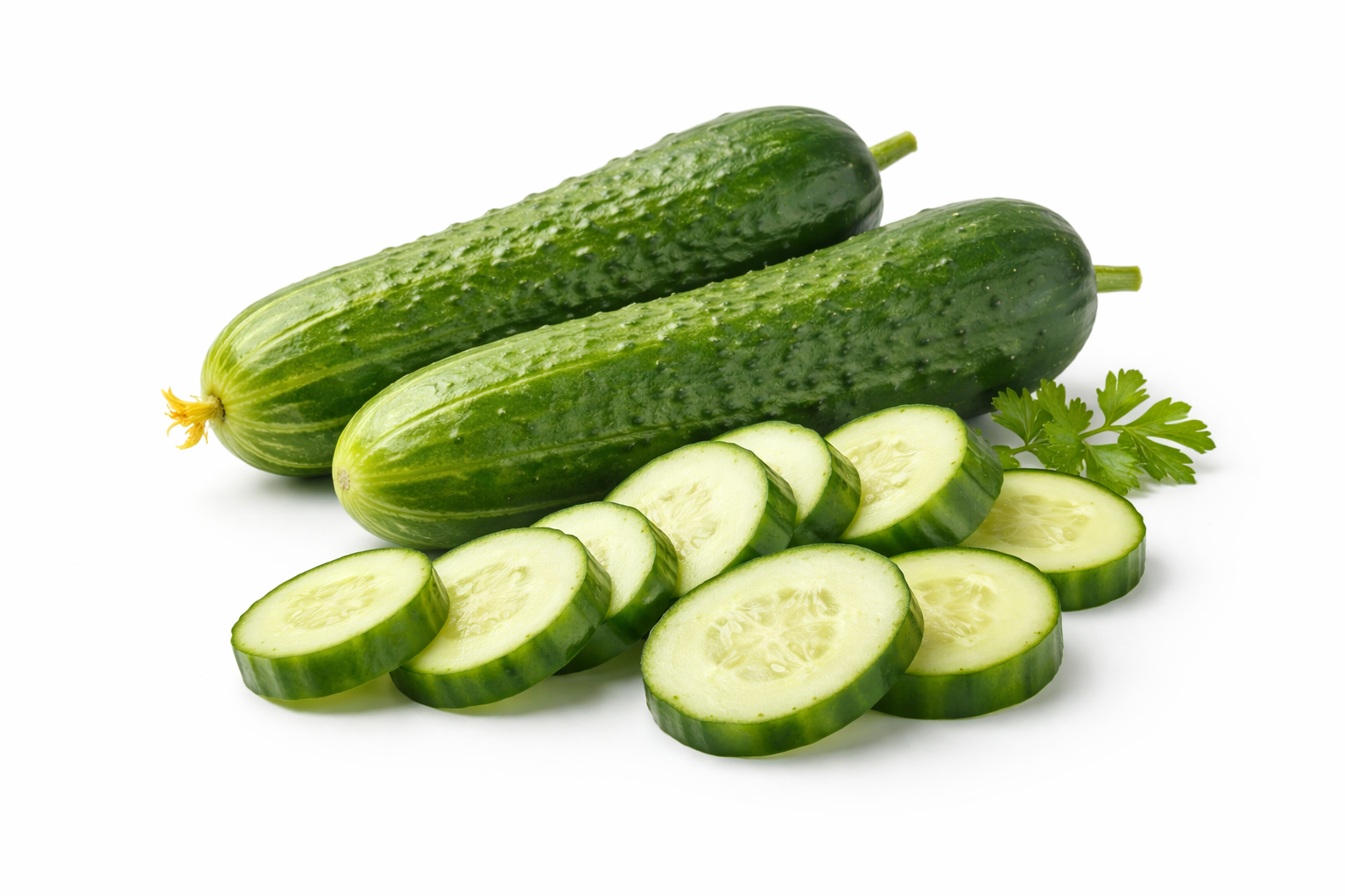 Cucumber
